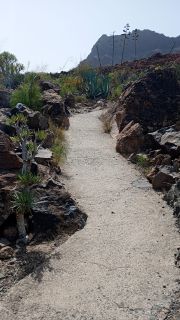 GC-Mirador de Arteara 2026-04.jpg